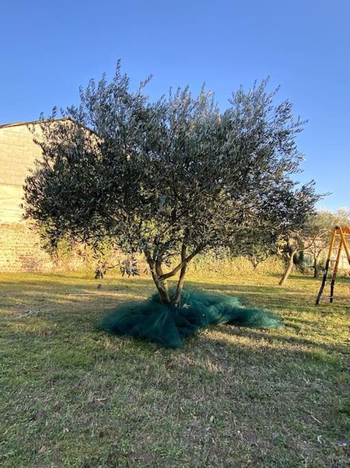 Le Nomade En Provence Bed and Breakfast Bouchet  Exteriör bild