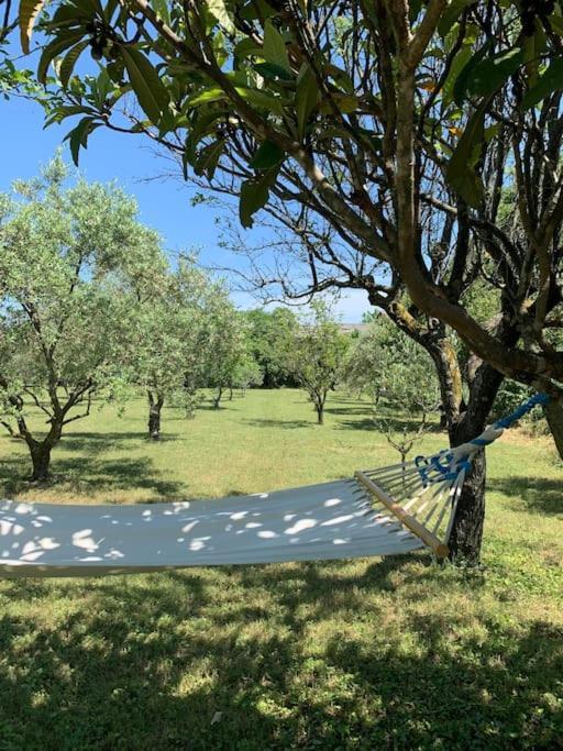 Le Nomade En Provence Bed and Breakfast Bouchet  Exteriör bild