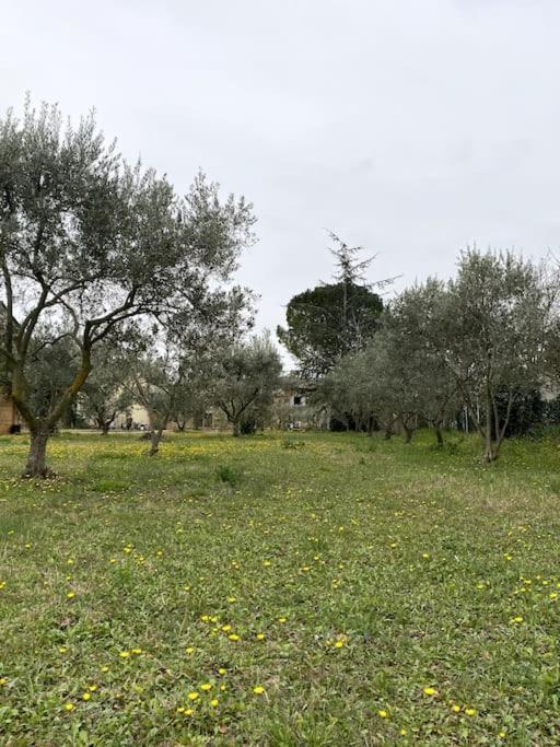 Le Nomade En Provence Bed and Breakfast Bouchet  Exteriör bild