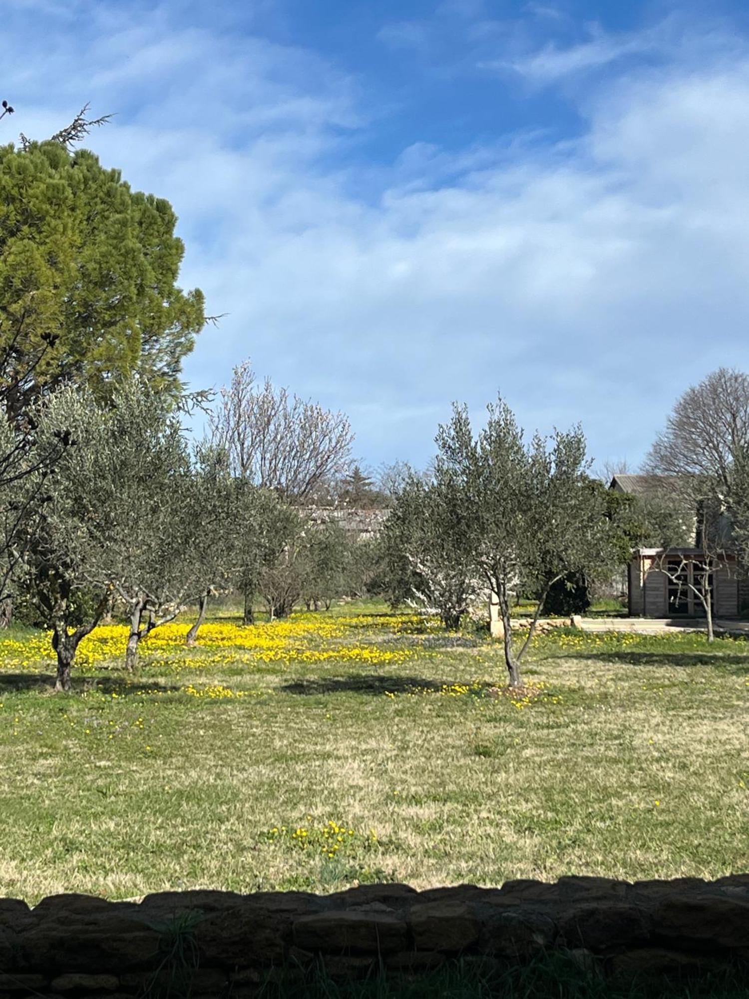 Le Nomade En Provence Bed and Breakfast Bouchet  Exteriör bild