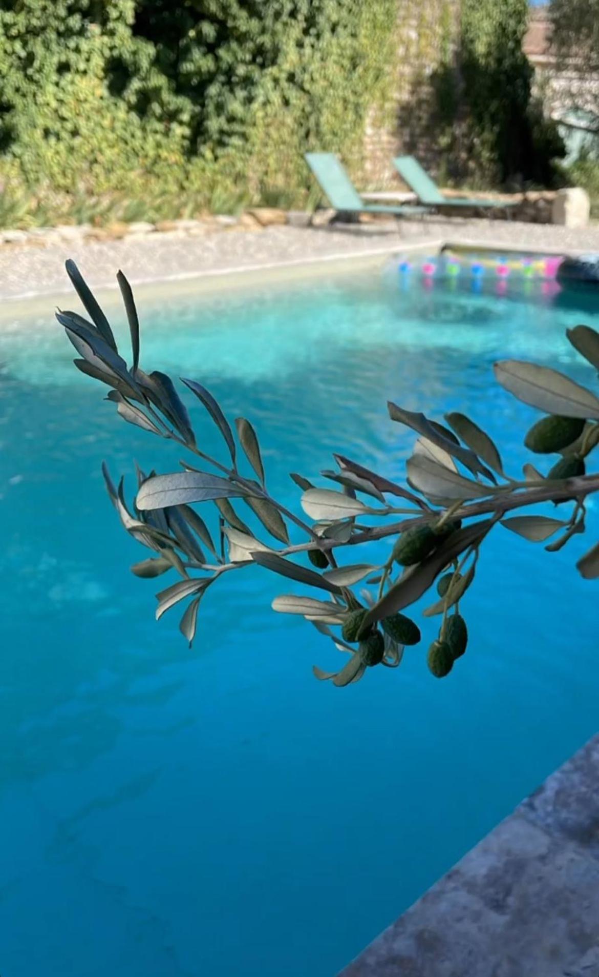 Le Nomade En Provence Bed and Breakfast Bouchet  Exteriör bild